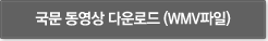 국문 동영상 다운로드 (WMV파일)